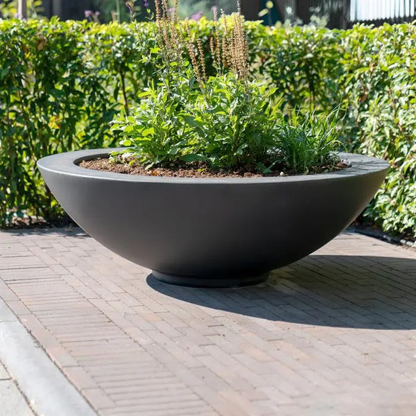 Elegante Gartenakzente mit der Ceder Pflanzschale
Die Ceder Fiberglas-Pflanzschale vereint Stil und Funktionalität. Ihre geschwungenen Linien und das hochwertige Fiberglas machen sie zu einem eleganten Blickfang in jedem Garten. Diese Pflanzschale ist die perfekte Wahl für Pflanzenliebhaber, die ihr Zuhause mit natürlichem Grün bereichern möchten.