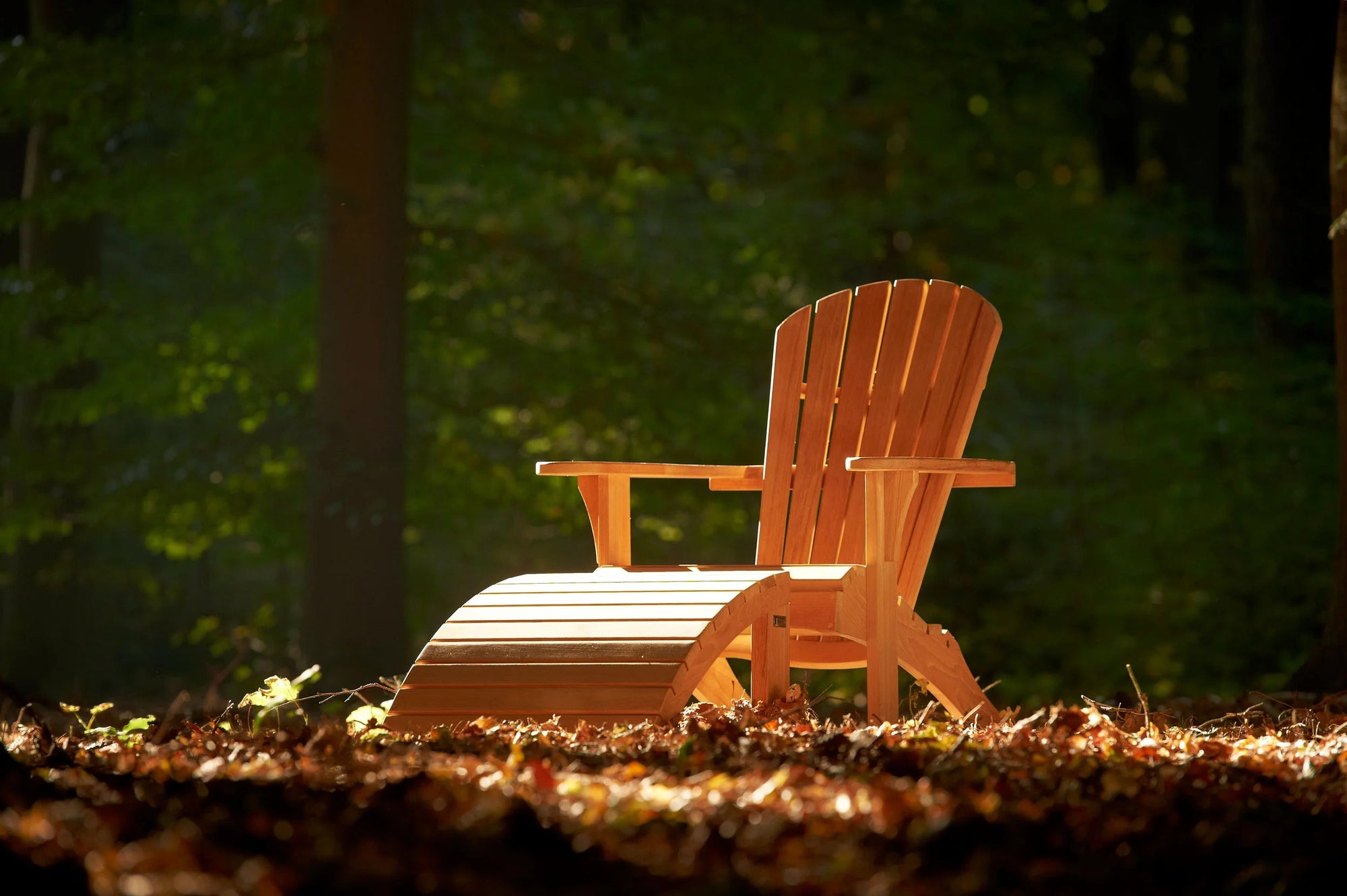 Traditional Teak Sienna Beach Chair